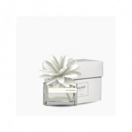 Profumatore d'ambiente Flower diffuser Iris Cipriato 30ML